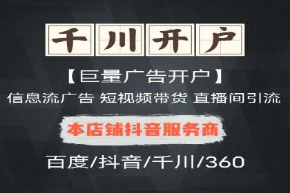竞价广告的创意与执行：某快消品的营销突破